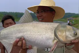 野外钓鱼，有免费的饭吃？还有钓友送物资，果然天下钓友是一家视频封面