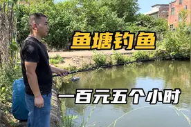 找了一个地方钓鱼，一杆五小时一百元，鱼免费带走，看看我赚了没视频封面