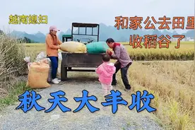 越南媳妇：中国的收割机都这么先进，今天去田里又大开眼界了视频封面