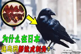 日本人的生食菜单有多广？为什么连乌鸦都不放过？原因让人信服！