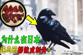 日本人的生食菜单有多广？为什么连乌鸦都不放过？原因让人信服！