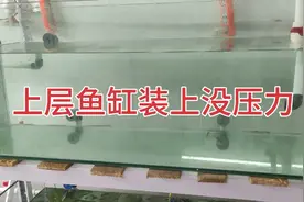 给鱼缸打孔，连接水管，下层鱼缸已经养上小鱼苗视频封面