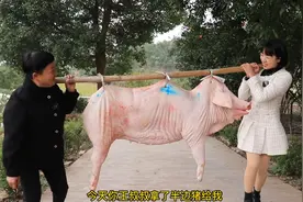 王叔叔送容麽麽半边猪 用夹子肉做了20斤香肠吃巴适得很