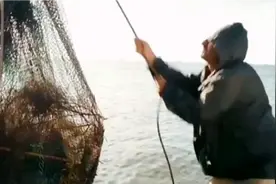 男人和猪的故事视频封面