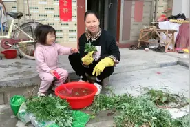 预产期还要5个月，家公一大早去摘艾草，说先泡酒，月子里可以用视频封面