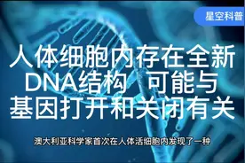 人体细胞内存在全新DNA结构，可能与基因打开和关闭有关！视频封面