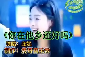 庄妮的一首《你在他乡还好吗》DJ完整版，开车必放，越听越上瘾视频封面