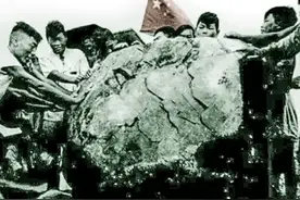 中国东海水晶大王出土63年经历了什么？视频封面