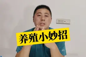 养殖小妙招！马齿苋在养殖中作用大，建议养殖朋友转发收藏了视频封面