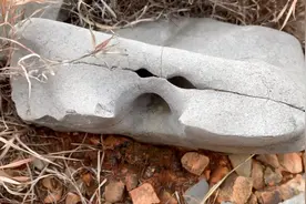 云南山地光伏建设—新区域探勘途中各种野鸡、化石！