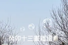 癸卯十三畫雞蛋🥚⋯⋯🙏😷🍎🎬视频封面