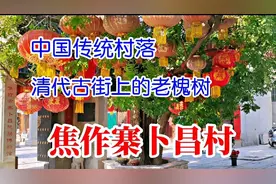 焦作清代古街上的老槐树，满身灯笼历经300年沧桑，不平凡的历史视频封面