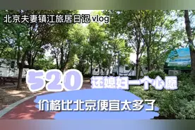 镇江圌山脚下初次体验房车露营烧烤过夜，价格不到北京的三分之一视频封面