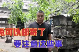 家兔可以邮寄了，引进种兔要睁大眼睛，不要上当受骗视频封面