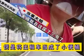 奇葩女子为达目的车上撒尿，还责怪驾驶员不背她上厕所？视频封面