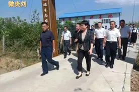 蜀山区委书记王海霞，寿县县委书记牛方括赴安徽金美瑞生态调研视频封面