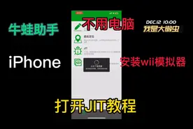 不用电脑使用牛蛙助手安装iPhone版wii模拟器打开JIT教程！苹果手