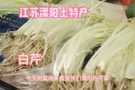 江苏溧阳的白芹上市了，六O后奶奶教您买白芹炒白芹，宝宝吃美了视频封面