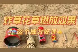 测试各种鞭炮的威力、最后一个太牛了视频封面