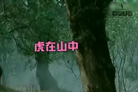 连喝十八碗酒，打破三碗不过岗的店规。醉闯景阳冈，与猛虎相遇视频封面