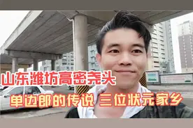 山东潍坊高密尧头，单崇单边郎，清代高密四位状元三位出自尧头视频封面