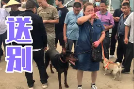 大姐1000元也舍不得卖养了2年的狗，为了它的去留还惹得大姐流视频封面