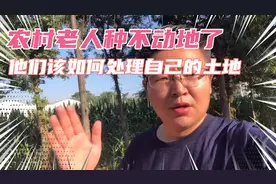 农村老人种不动地了，他们该如何处理自己的土地？视频封面