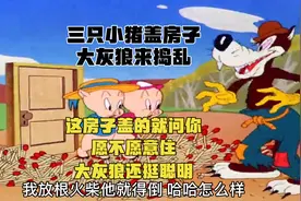搞笑配音:三只小猪盖房子 大灰狼捣乱🔥视频封面