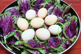 三伏天多吃苋菜，加几颗鸡蛋煮一煮，作用这么厉害，既省钱又实用