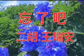 王瑞安二胡:忘了吧（词:吴晓飞、词曲:一只舟，原唱:杨美华）视频封面