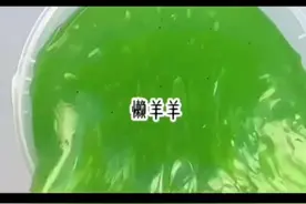 懒洋洋视频封面