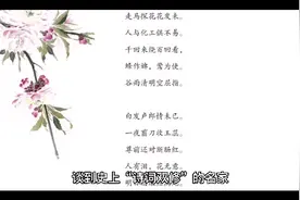 苏轼最经典的10首诗排行视频封面