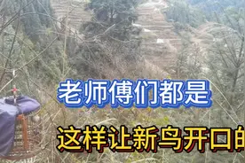 让生头鸟开口唱歌最有效的方法，不过就是这样了，值得借鉴视频封面