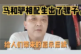 马和驴相配生出了骡子，给人带来的启示后续。视频封面