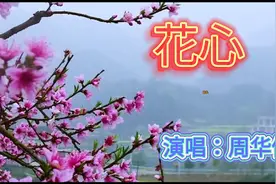 周华健原唱的一曲《花心》，传唱至今，太好听了