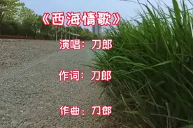 刀郎经典之作《西海情歌》美好的记忆，在也回不到我们的从前了视频封面