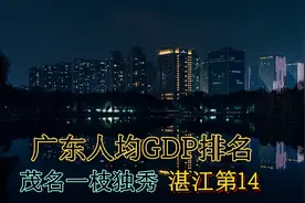 广东省人均GDP排名，湛江仅排第14名，茂名成为一枝独秀视频封面