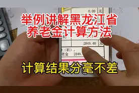 举例详解黑龙江省养老金计算方法，计算结果和核定表分毫不差视频封面