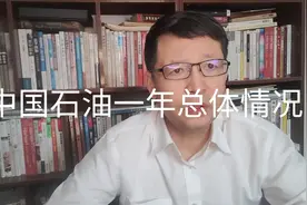 热点微观察，中国一年石油总消费量是多少，具体自产与进口情况视频封面