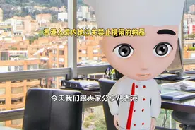 香港入境内地过关禁止携带的物品视频封面