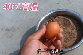 河南农村，40度高温暴晒下，滚烫的沙子煮鸡蛋能成功吗？