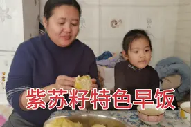 东北农家忙碌的早上，一日两餐，广西媳妇榨紫苏豆浆，老妈蒸花卷视频封面