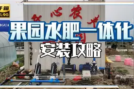 果园水肥一体化安装攻略，这样省钱又省力！视频封面