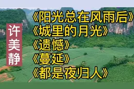 许美静《阳光总在风雨后》《城里的月光》《遗憾》《都是夜归人》视频封面