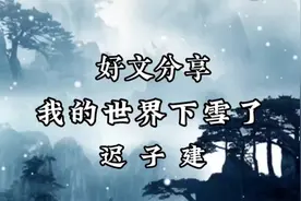 好文分享《我的世界下雪了》迟子建