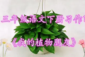 三年级语文下册《我的植物朋友》范文，小作者观察得真细致！视频封面