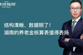 结构清晰，数据明了！湖南的养老金核算表值得表扬视频封面