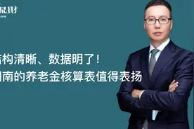 结构清晰，数据明了！湖南的养老金核算表值得表扬视频封面