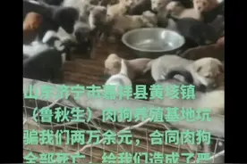 济宁市嘉祥县肉狗养殖基地鲁秋生坑害我们，直接给我们造成损失视频封面