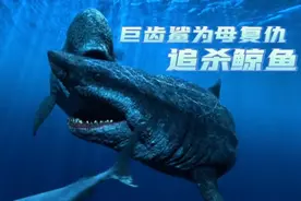 远古海洋霸主巨齿鲨，疯狂撕咬鲸鱼为母复仇，一口将它拦腰咬断！视频封面
